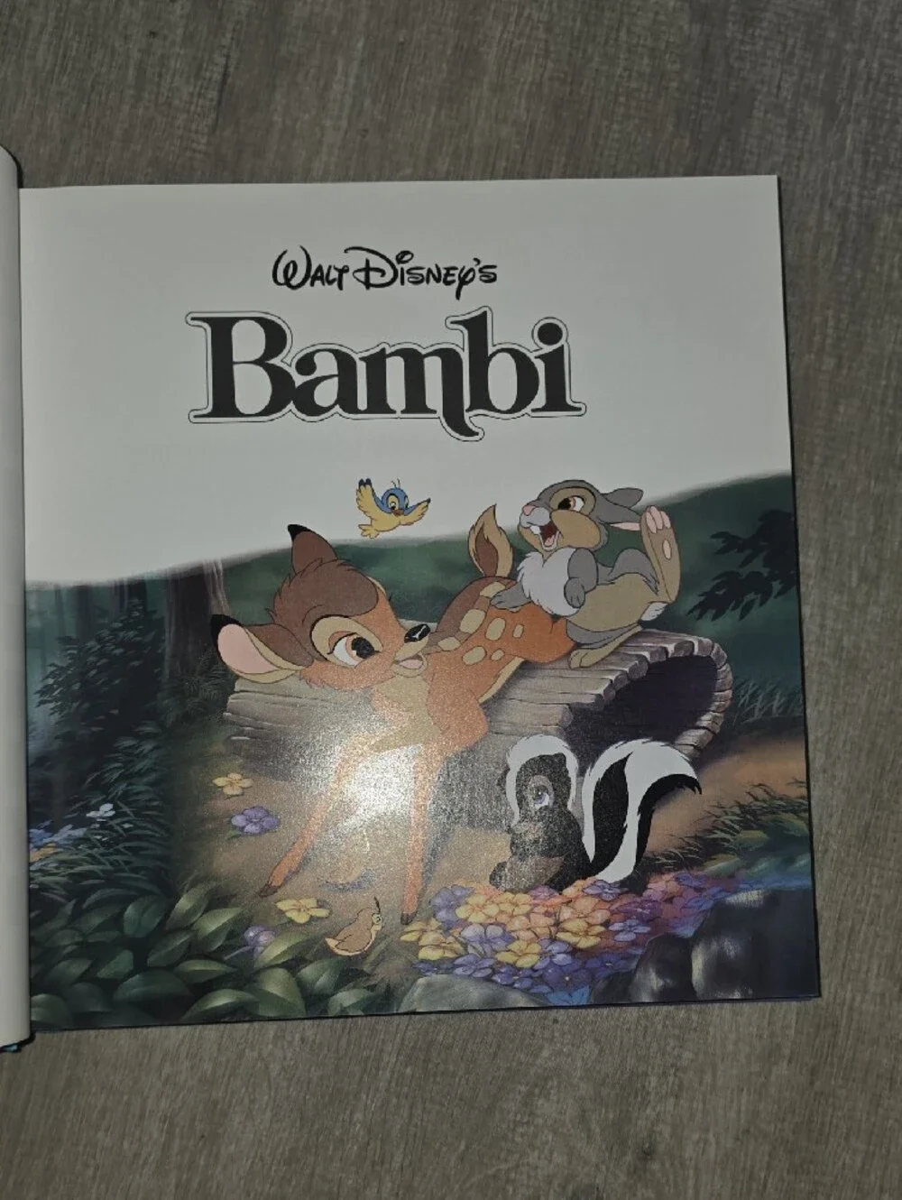 Disney Storybook Collection - Blue Cover with Multicolor Characters